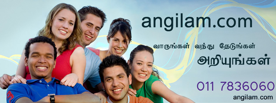 angilam.com
